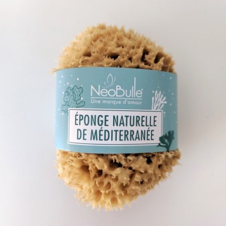 Eponge Naturelle Mer Méditerranée